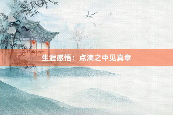 生涯感悟：点滴之中见真章