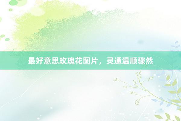 最好意思玫瑰花图片，灵通温顺骤然