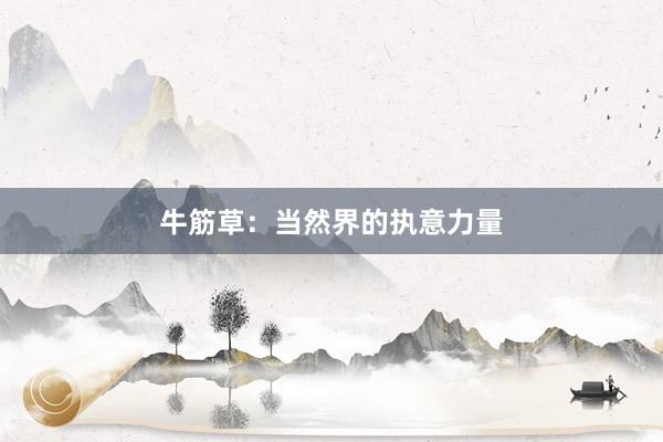 牛筋草：当然界的执意力量